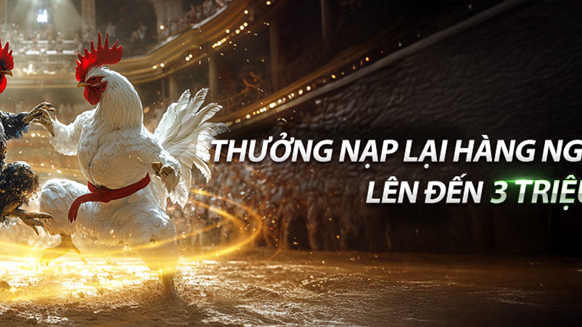 Sân vận động thể thao năng động với biểu tượng new88 casino